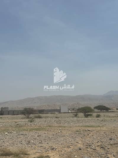 Plot for Sale in Seih Al Harf, Ras Al Khaimah - WhatsApp Image 2026-04-27 at 9.38. 31 AM (1). jpeg Plot for Sale in Seih Al Harf, Ras Al Khaimah - WhatsApp Image 2026-04-27 at 9.38. 31 AM (1). jpeg