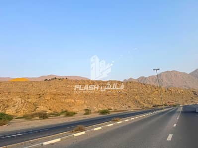 Plot for Sale in Al Rams, Ras Al Khaimah - 33129fbc-ee6b-446a-95d2-e0f179f81537. jpeg Plot for Sale in Al Rams, Ras Al Khaimah - 33129fbc-ee6b-446a-95d2-e0f179f81537. jpeg