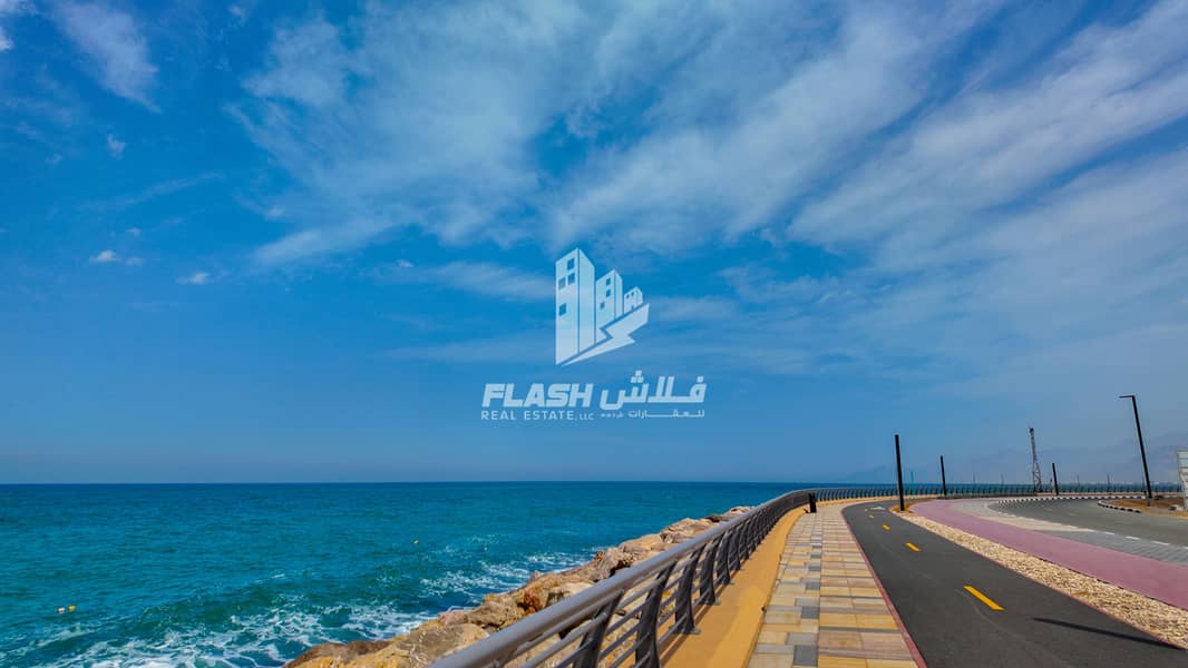 6 DJI_20250313115534_0425_D. jpg