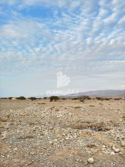 Plot para en Venta en Seih Al Harf, Ras Al Khaimah - WhatsApp Image 2025-01-27 at 6.45. 44 PM (1). jpeg Plot para en Venta en Seih Al Harf, Ras Al Khaimah - WhatsApp Image 2025-01-27 at 6.45. 44 PM (1). jpeg