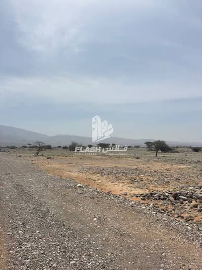 Plot de  à à vendre à Seih Al Harf, Ras Al Khaimah - WhatsApp Image 2026-04-27 at 9.38. 31 AM. jpeg