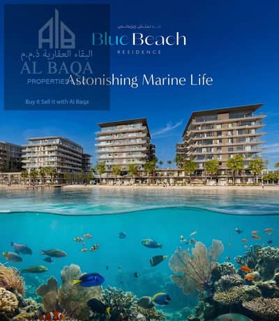 2 Bedroom Apartment for Sale in Ajmal Makan City - Sharjah Waterfront, Sharjah - WhatsApp Image 2026-06-01 at 7.43. 02 PM (2). jpeg