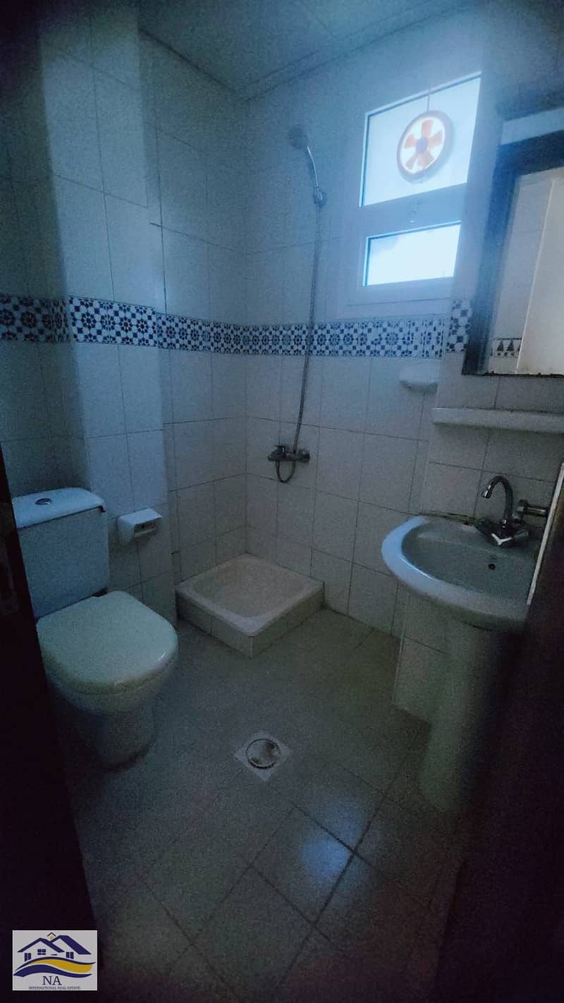 3 354502. jpg