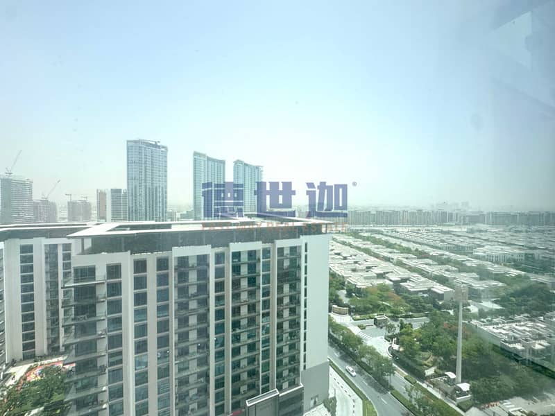 18 IMG_3950. jpg