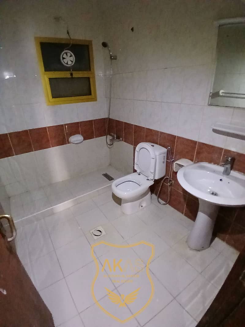 8 16412. jpg