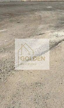 7 IMG-20250223-WA0207. jpg