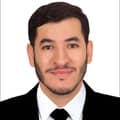Hassan Loutfi Hassan Loutfi