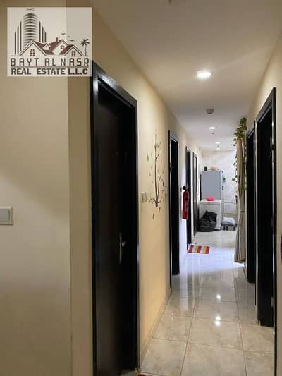 3 Bedroom Flat for Rent in Emirates City, Ajman - WhatsApp Image 2024-06-23 at 20.39. 45_b1b94a81. jpg 3 Bedroom Flat for Rent in Emirates City, Ajman - WhatsApp Image 2024-06-23 at 20.39. 45_b1b94a81. jpg