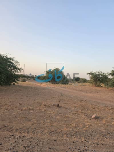 Industrial Land for Sale in Al Hamriyah, Sharjah - WhatsApp Image 2026-06-01 at 11.05. 17 PM. jpeg Industrial Land for Sale in Al Hamriyah, Sharjah - WhatsApp Image 2026-06-01 at 11.05. 17 PM. jpeg
