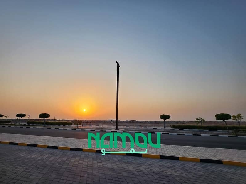 9 Image 10