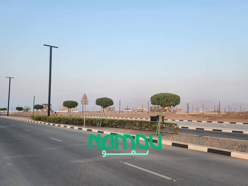 12 Image 13