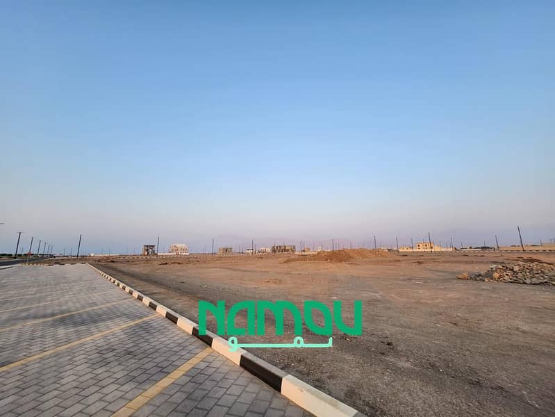 14 Image 15