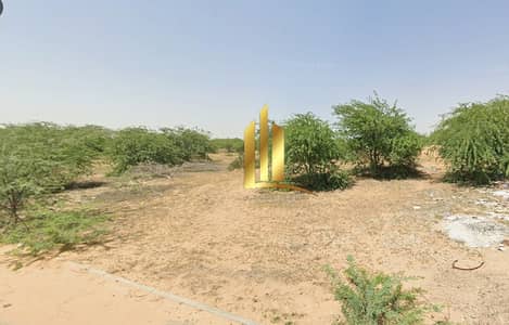 Industrial Land for Sale in Al Hamriyah, Sharjah - لقطة الشاشة 2026-06-04 101258. png Industrial Land for Sale in Al Hamriyah, Sharjah - لقطة الشاشة 2026-06-04 101258. png