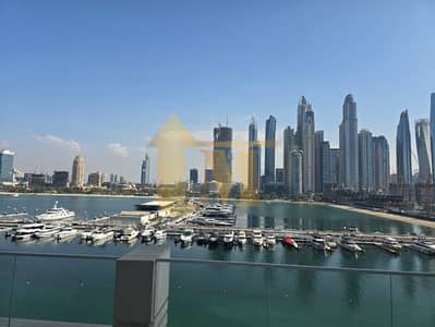 1 Schlafzimmer Wohnung zum zur Miete in Dubai Harbour, Dubai - WhatsApp Image 2025-11-24 at 23.33. 15 (1). jpeg