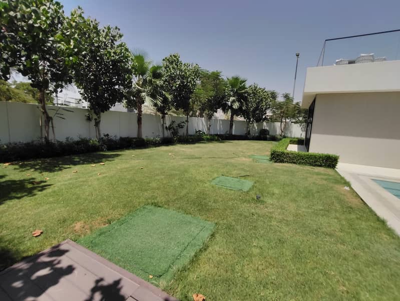 8 1000388149. jpg