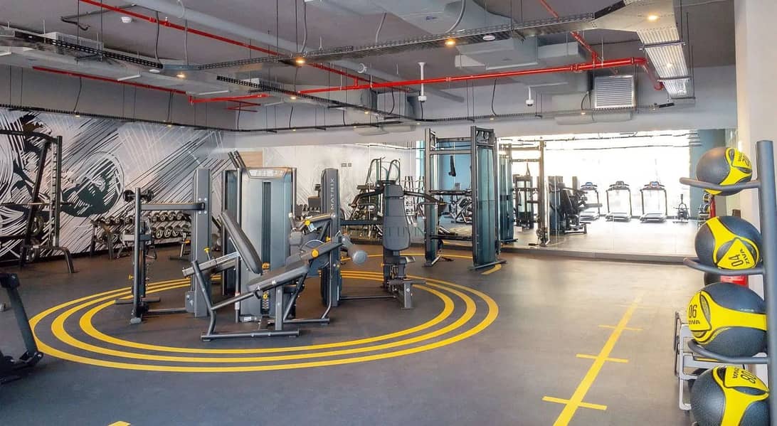 12 s1-gym. png