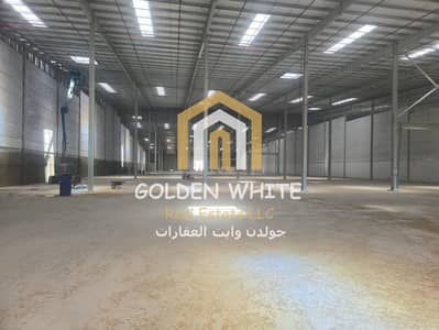 Warehouse for Rent in Industrial Area, Umm Al Quwain - Prime Industrial Warehouse|UAQ Warehouse for Rent in Industrial Area, Umm Al Quwain - Prime Industrial Warehouse|UAQ