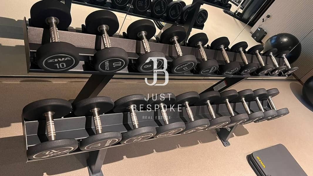 36 PH3 Gym Barbell. jpeg