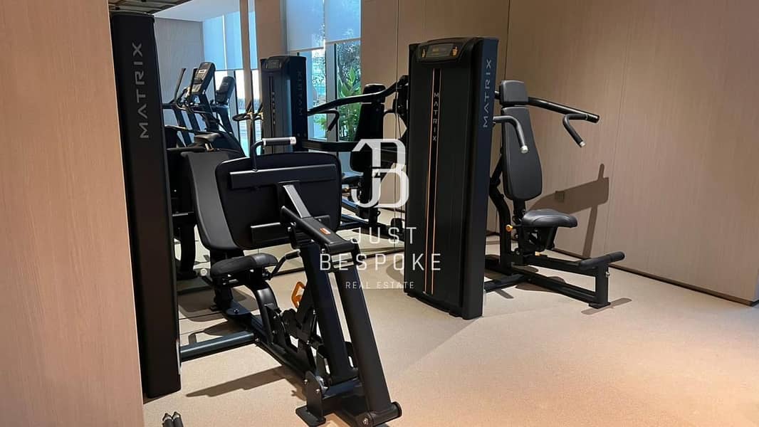 38 PH3 Gym Hand Lift. jpeg