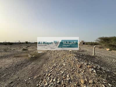 Mixed Use Land for Sale in Kalba, Sharjah - WhatsApp Image 2026-05-30 at 2.57. 05 PM. jpeg Mixed Use Land for Sale in Kalba, Sharjah - WhatsApp Image 2026-05-30 at 2.57. 05 PM. jpeg