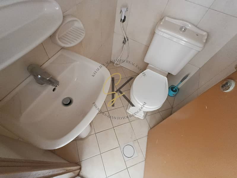 6 54585. jpg