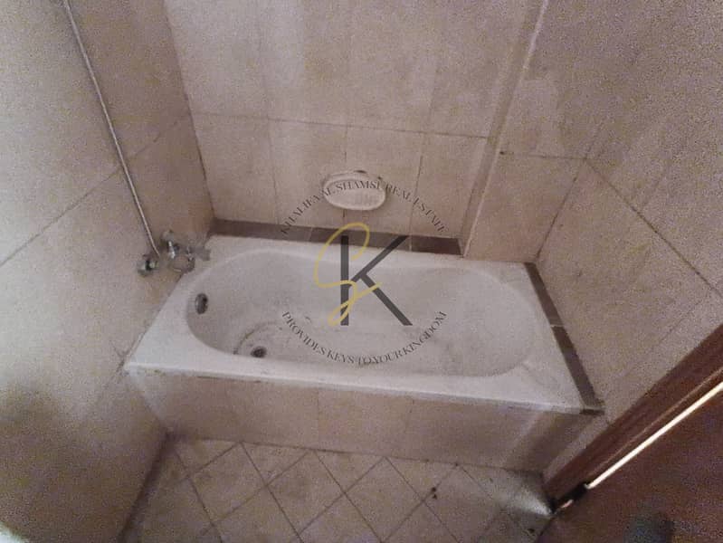 20 54599. jpg