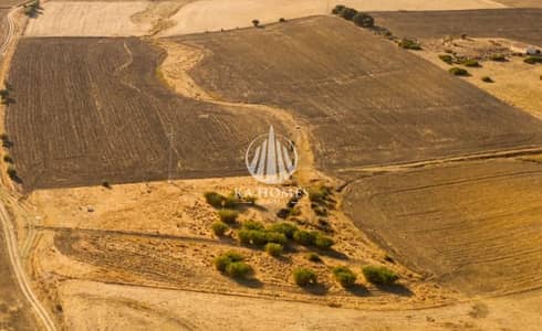 Plot for Sale in Rodhat Al Sidir, Sharjah - WhatsApp Image 2026-02-06 at 6.10. 51 PM. jpeg Plot for Sale in Rodhat Al Sidir, Sharjah - WhatsApp Image 2026-02-06 at 6.10. 51 PM. jpeg