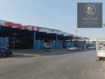 Warehouse for Sale in Industrial Area, Sharjah - ءسسءسء. jpg Warehouse for Sale in Industrial Area, Sharjah - ءسسءسء. jpg