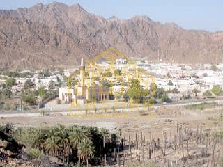 5 9a-na-66064. jpg