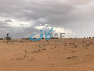 Industrial Land zum zum Verkauf in Al Hamriyah, Sharjah - 1b7c14fe-fd22-4533-8390-06e1daee6bfe. jpg Industrial Land zum zum Verkauf in Al Hamriyah, Sharjah - 1b7c14fe-fd22-4533-8390-06e1daee6bfe. jpg