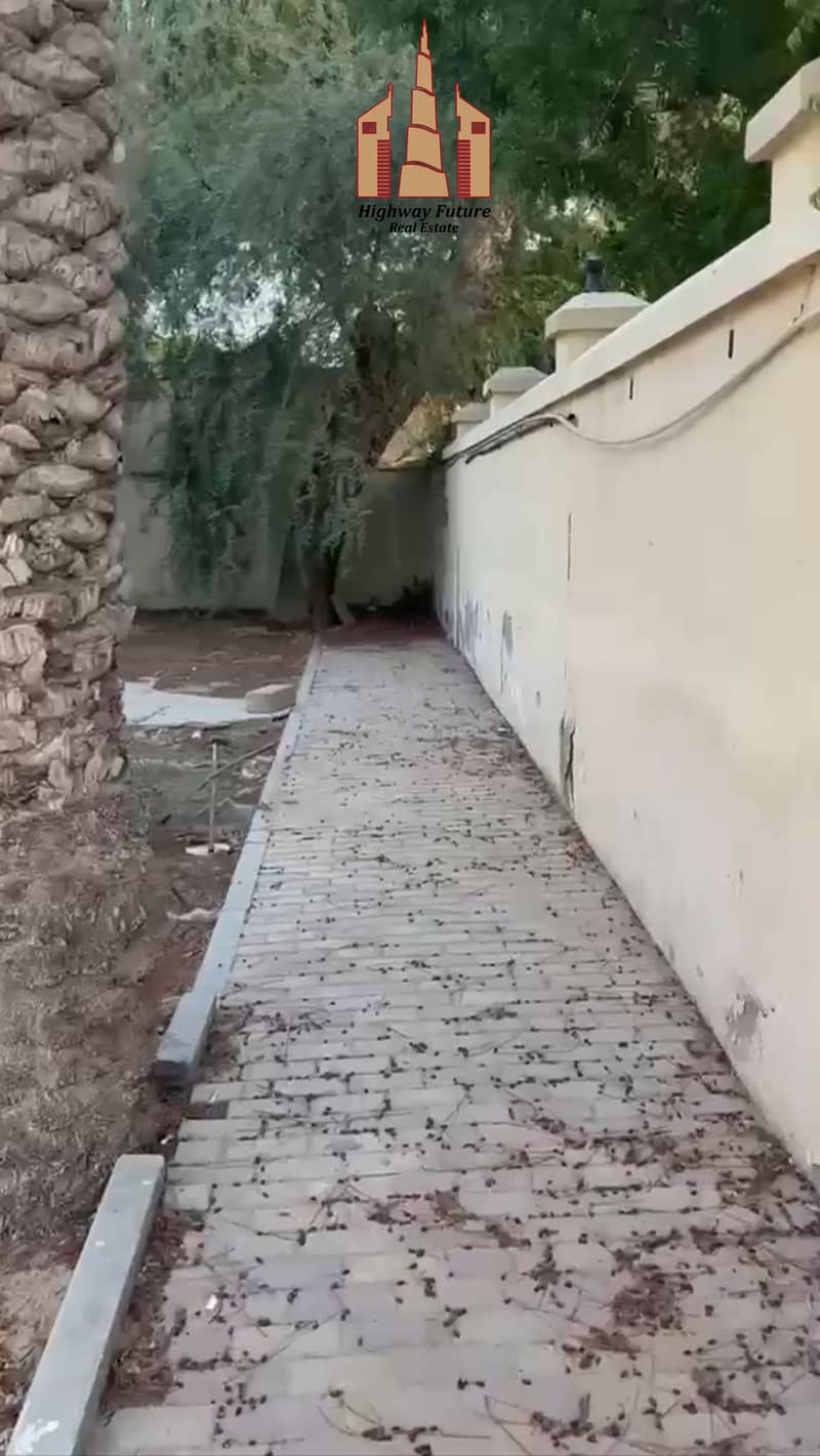 4 841390. jpg