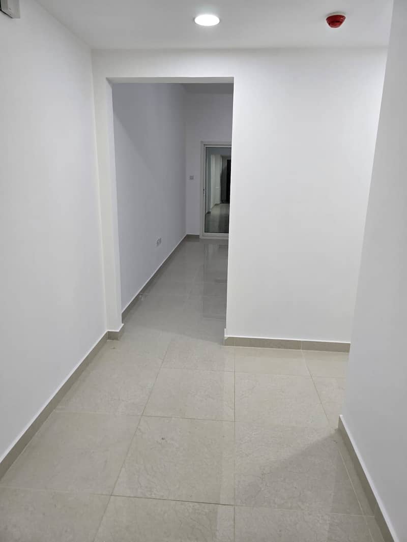 5 1000350240. jpg