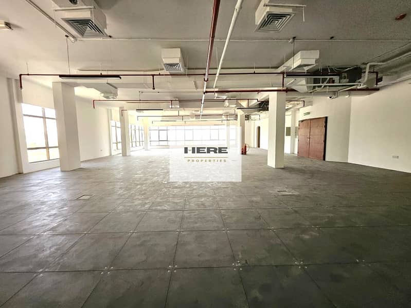 4 WhatsApp Image 2026-06-06 at 11.59. 19 AM. jpeg