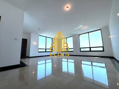 3 Bedroom Flat for Rent in Hamdan Street, Abu Dhabi - copy1. jpeg