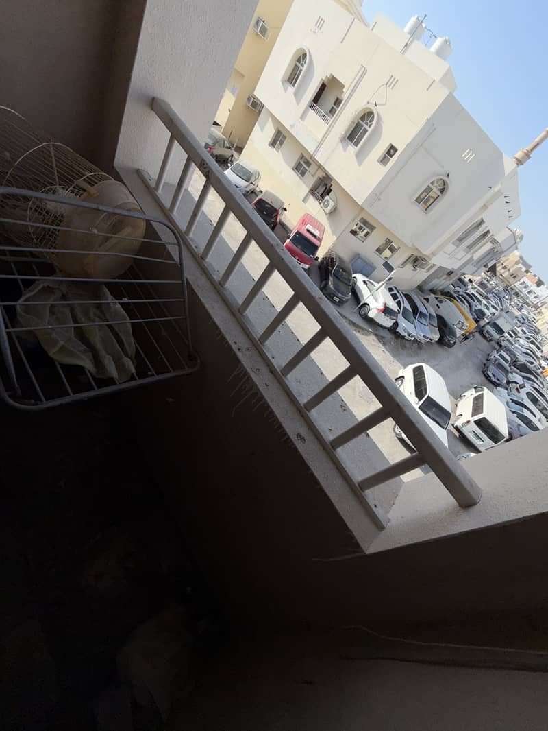 7 IMG_8196. jpeg