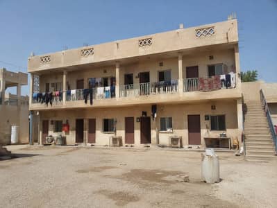 Labour Camp in Affitto a Al Rashidiya, Ajman - WhatsApp Image 2026-05-25 at 8.20. 38 PM. jpeg