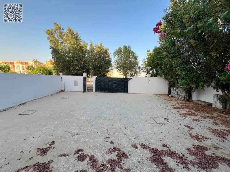 3 IMG_2699. jpg