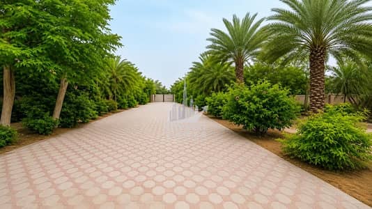 5 Bedroom Villa for Rent in Nad Al Sheba, Dubai - WhatsApp Image 2026-06-08 at 9.52. 34 PM (2). jpeg 5 Bedroom Villa for Rent in Nad Al Sheba, Dubai - WhatsApp Image 2026-06-08 at 9.52. 34 PM (2). jpeg