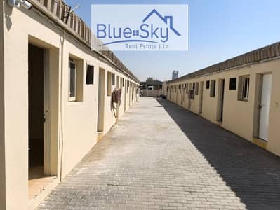 Labour Camp for Rent in Al Sajaa, Sharjah - IMG-20250501-WA0123. jpg Labour Camp for Rent in Al Sajaa, Sharjah - IMG-20250501-WA0123. jpg