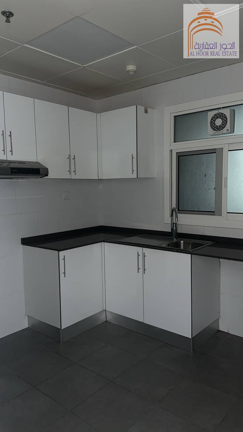 6 pic5. jpg