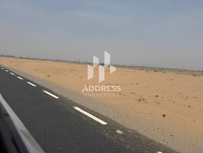Plot for Sale in Muzairah, Sharjah - WhatsApp Image 2026-06-09 at 15.50. 16 (2). jpeg Plot for Sale in Muzairah, Sharjah - WhatsApp Image 2026-06-09 at 15.50. 16 (2). jpeg