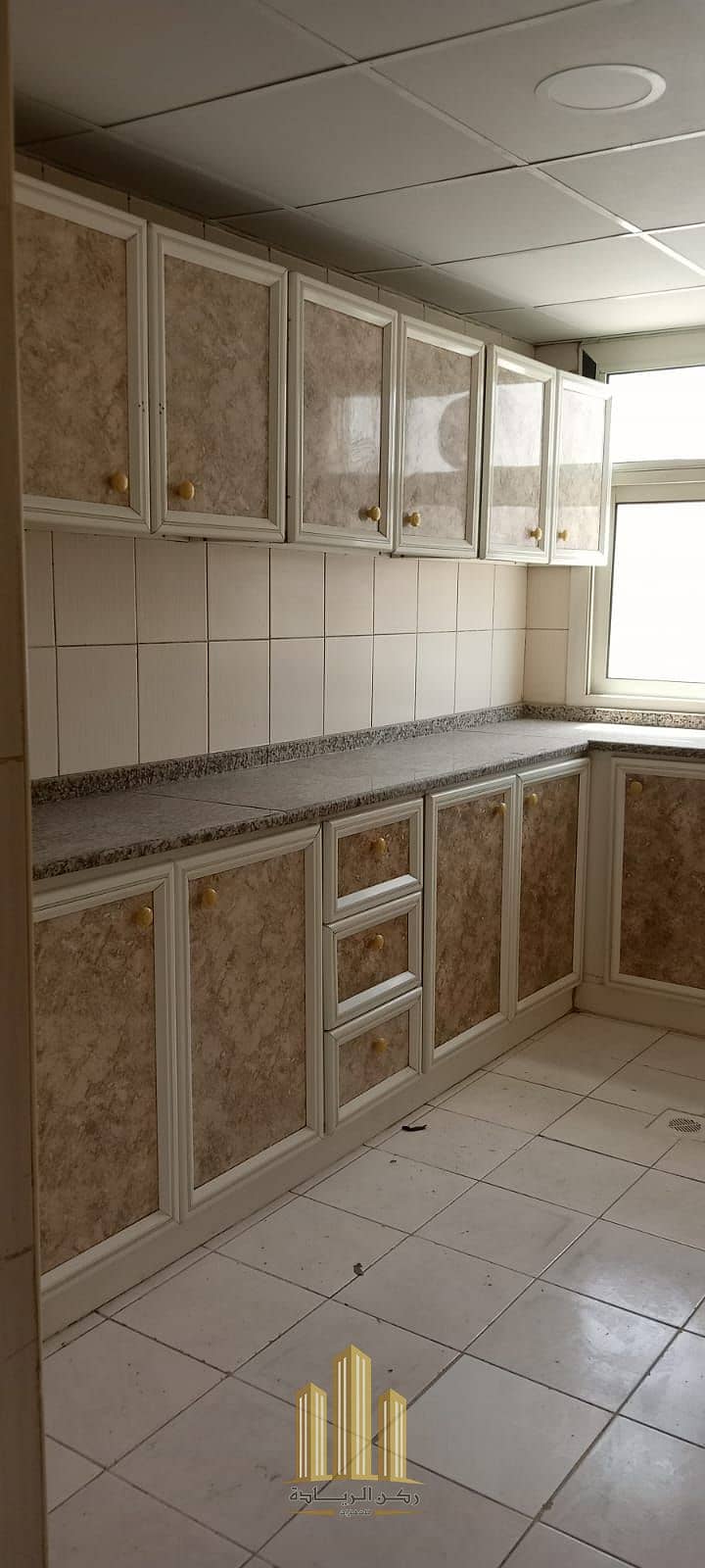 5 1000083368. jpg