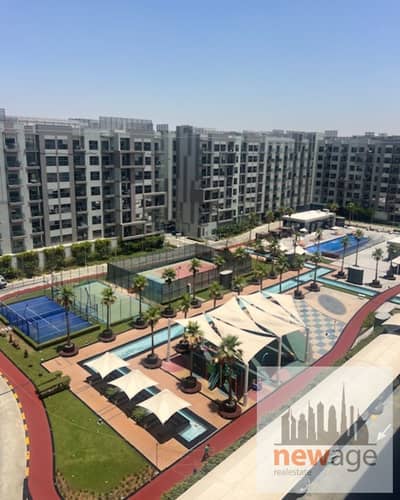Studio for Rent in International City, Dubai - WhatsApp Image 2026-06-10 at 11.40. 26 AM. jpeg Studio for Rent in International City, Dubai - WhatsApp Image 2026-06-10 at 11.40. 26 AM. jpeg