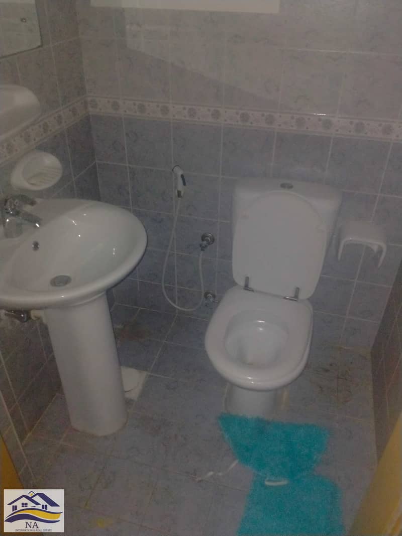 2 IMG20260127131402. jpg