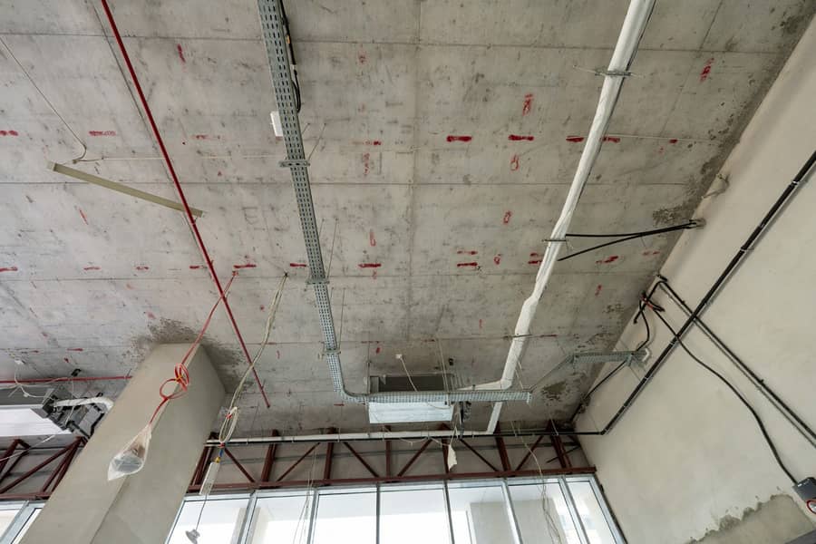 5 Image 5