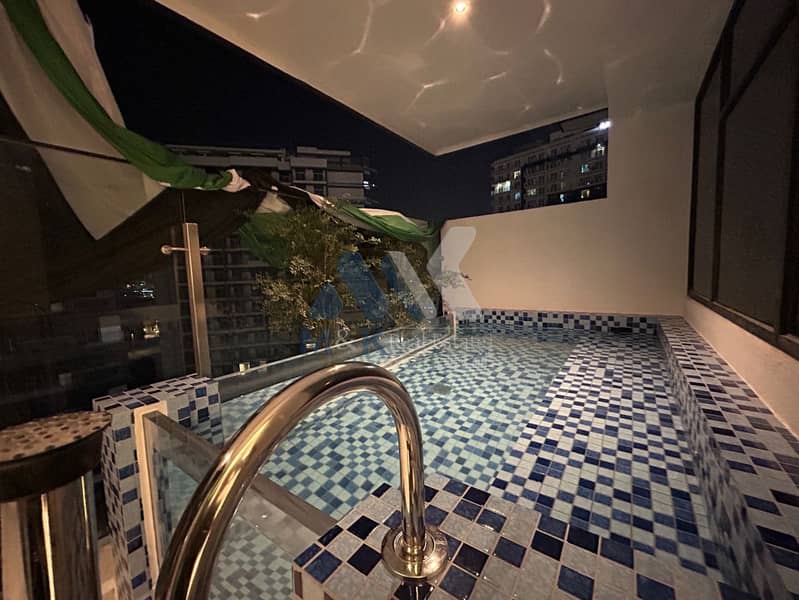 1-Bed Apartment | Furnished | Downtown City View | Private Plunge Pool - Image 17