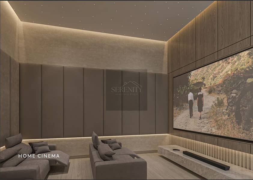14 HOME CINEMA. png