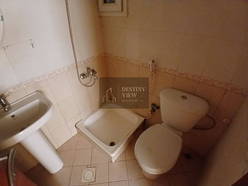 2 64168. jpg