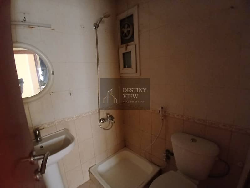 3 64169. jpg