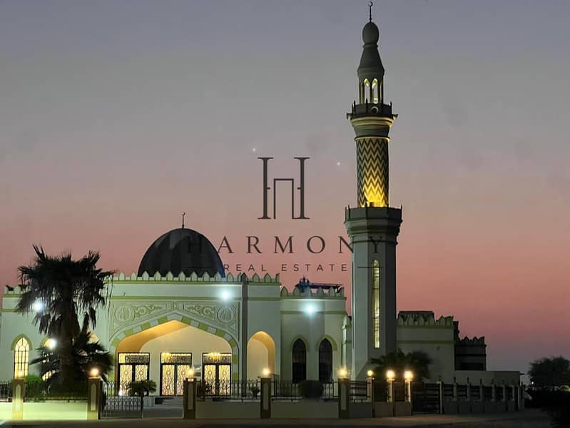 12 yv mosque. jpeg